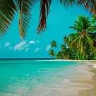 Маша  Котова 