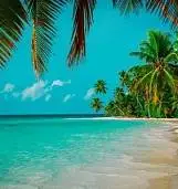 Маша <br>Котова 