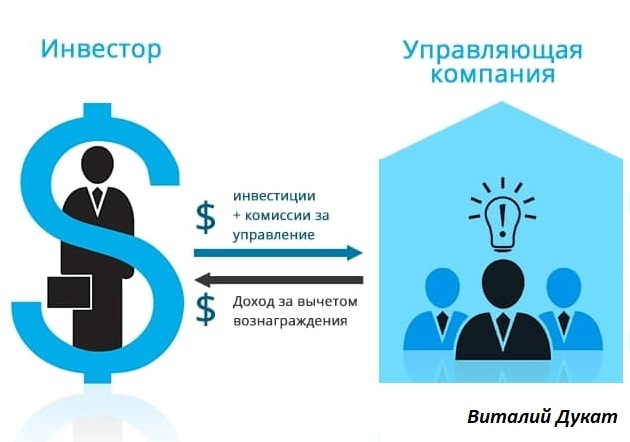 Думаков Виталий