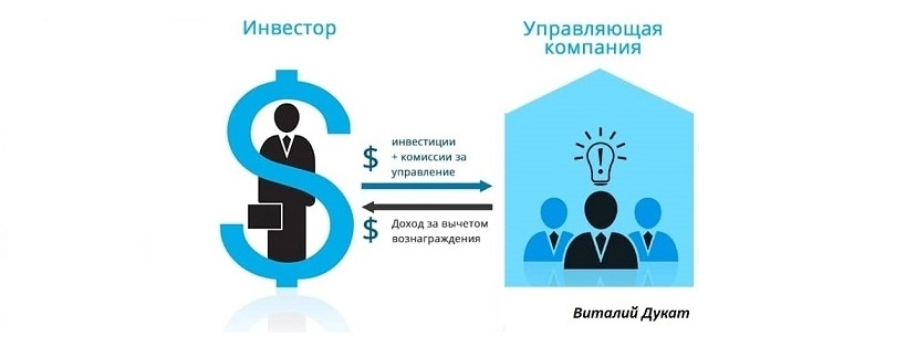 Думаков Виталий
