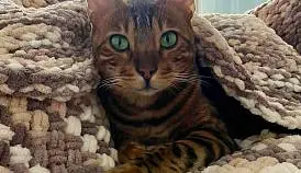 Кламп Рыбакова Марина 2