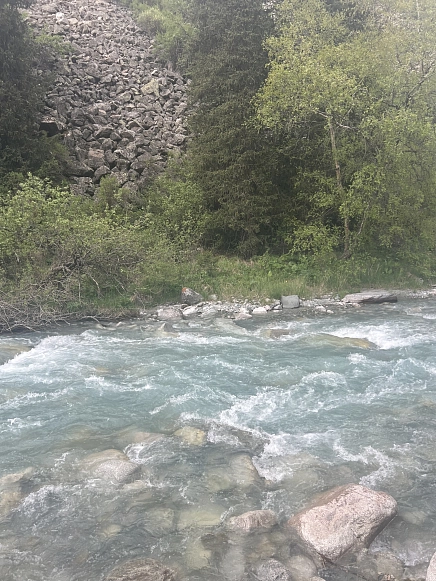 Буравлева  Екатерина 