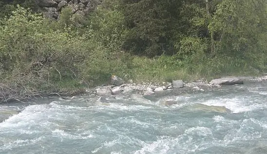 Кламп Буравлева  Екатерина 