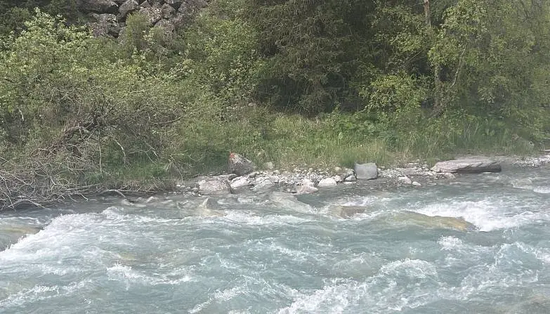 Буравлева  Екатерина 