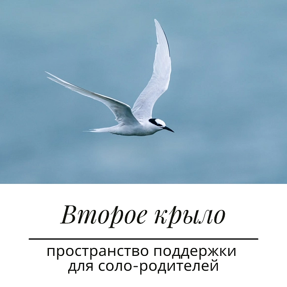 Беляцкая Ольга
