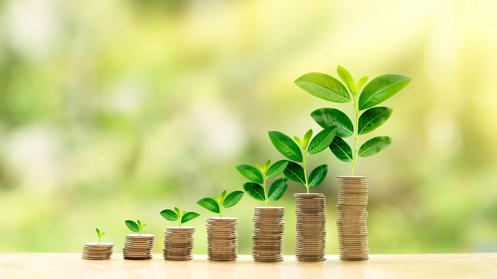 Кисель  Наталия 2