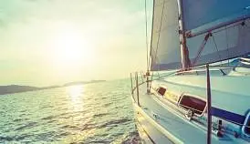 Кламп Collett Elena