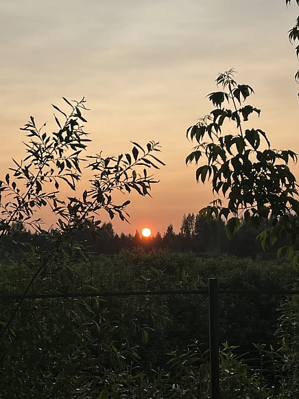 Кузьмина  Мария