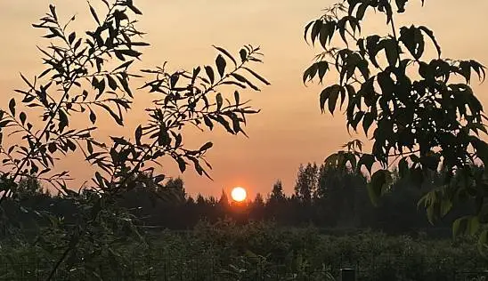 Кламп Кузьмина  Мария