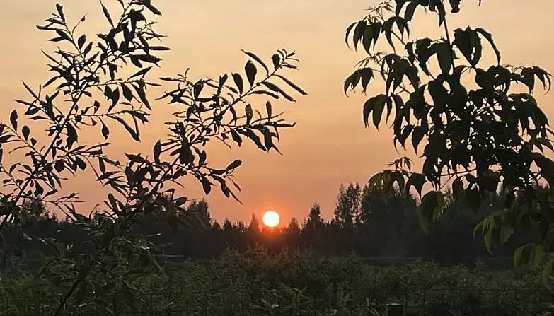 Кузьмина  Мария