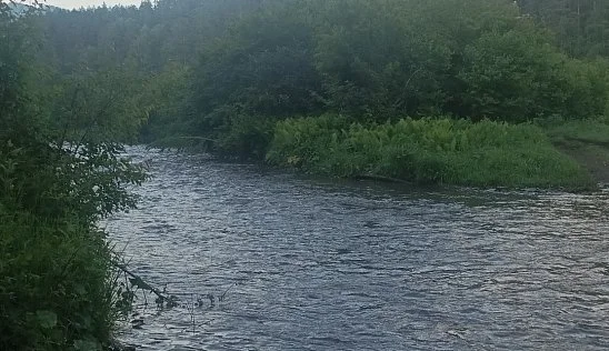 Кламп Бикейкина Наталья