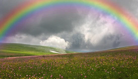 Кламп Шумихин Александр 2