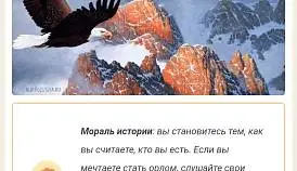 Кламп Воронченко Марина 2