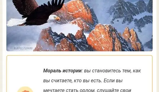 Кламп Воронченко Марина 2