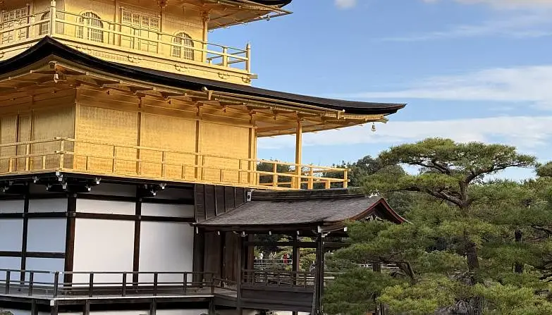 Чернявская  Инга