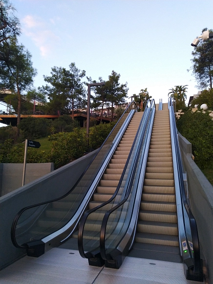 Першина Алена