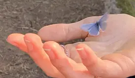 Кламп Мышова Ирина