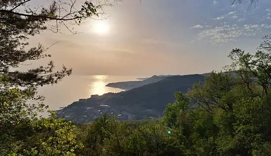 Кламп Прохоренко Михаил