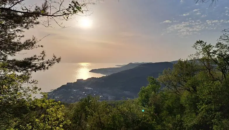 Прохоренко Михаил