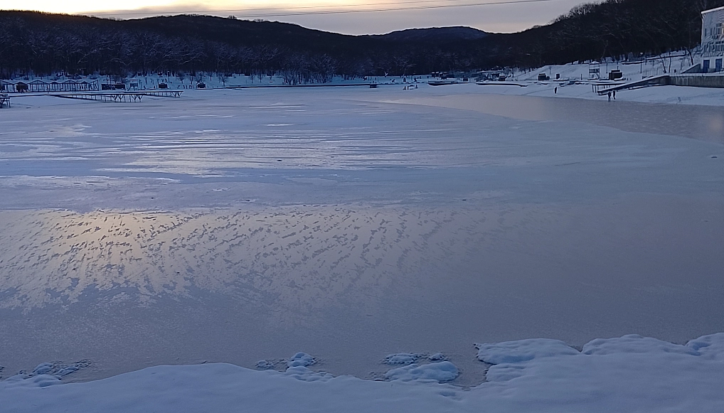 Рытова Вероника