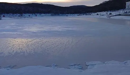 Кламп Рытова Вероника