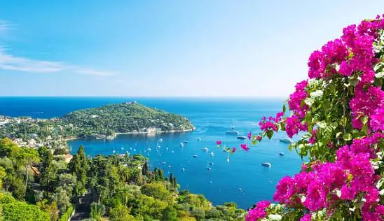 Кламп Честикина Олеся 2