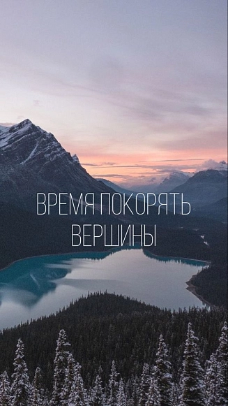 Борисоглебская Анастасия