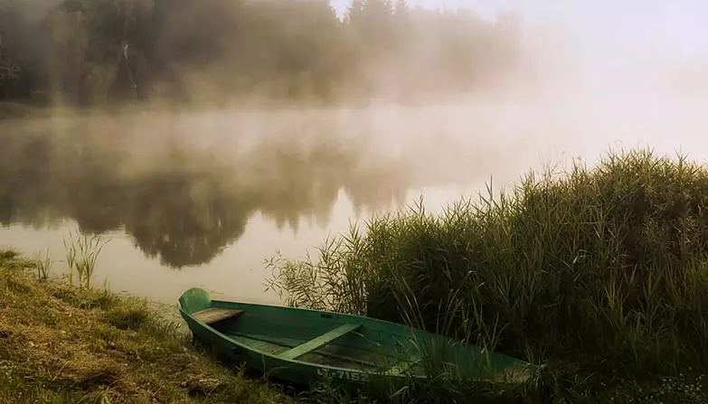 Кудрявцева Наталия