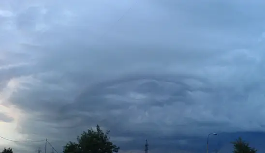 Кламп Ланг Сергей