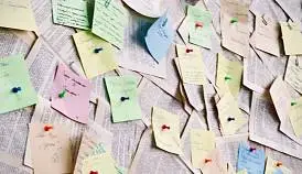 Кламп Журавлева  Ирина