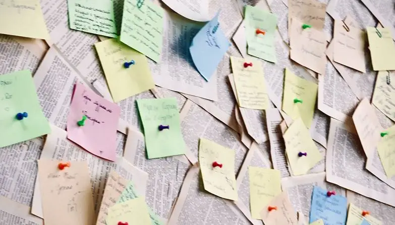 Журавлева  Ирина