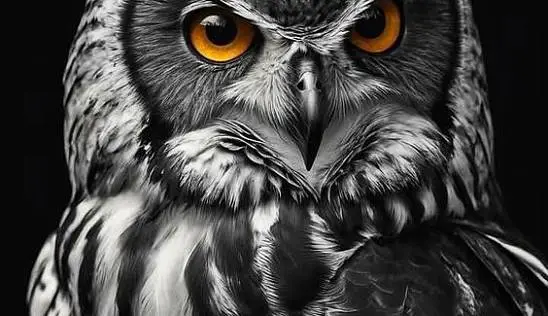 Кламп Борисоглебская Анастасия 2