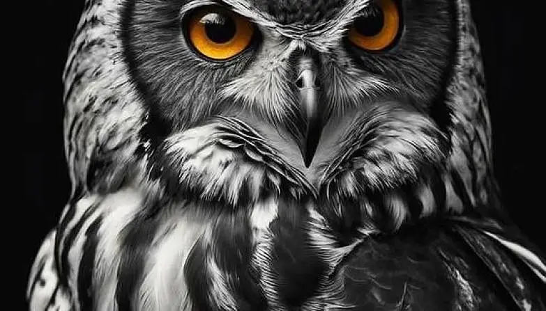 Борисоглебская Анастасия 2