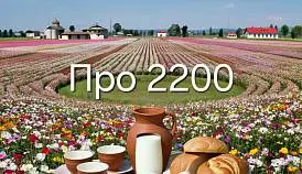 Кламп Коврижкина Наталья 2