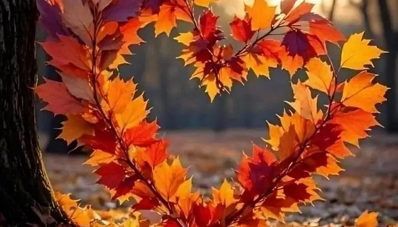 Кособокова  Лариса 