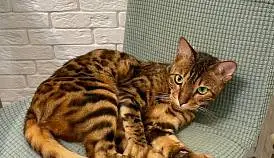 Кламп Рыбакова Марина 2