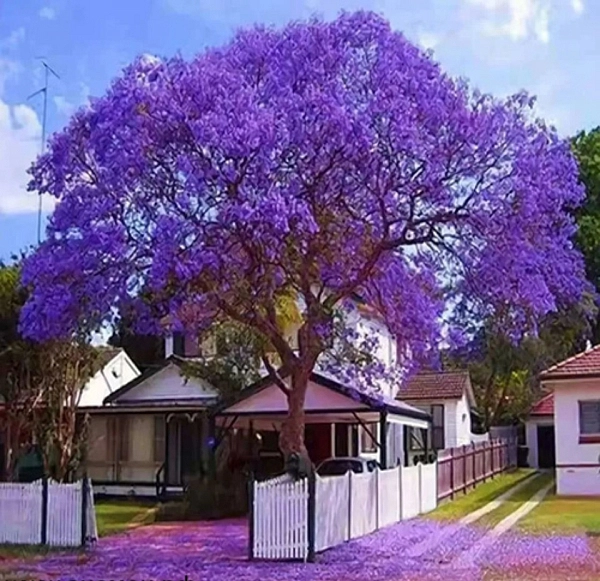 Корнеев Дмитрий