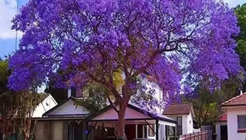 Корнеев Дмитрий