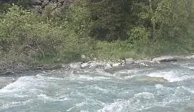 Кламп Буравлева  Екатерина 