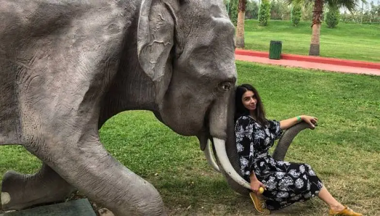 Суслова  Светлана  2