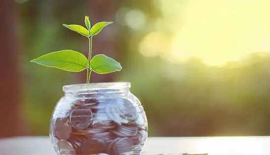 Кламп Пузанкевич Наталья 