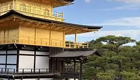 Кламп Чернявская  Инга