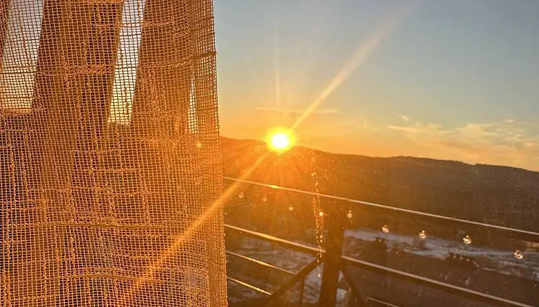 Галлямова Александра