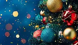 Кламп Ярцева Юлия 3