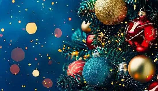 Кламп Ярцева Юлия 3