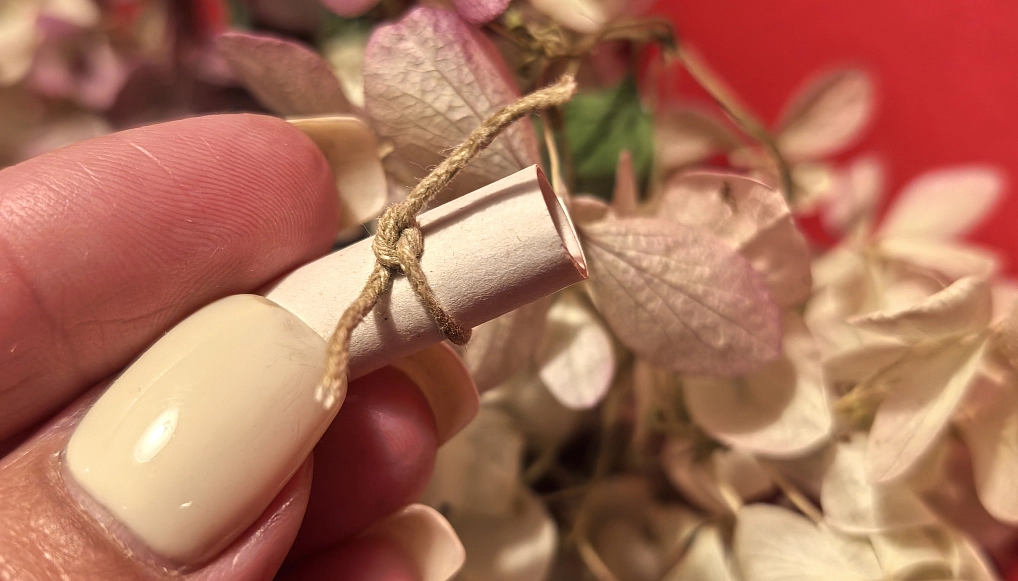 Суслова  Светлана 