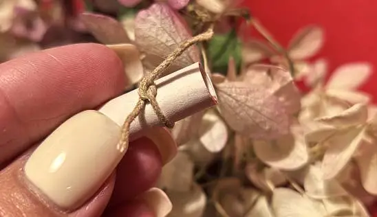 Кламп Суслова  Светлана 