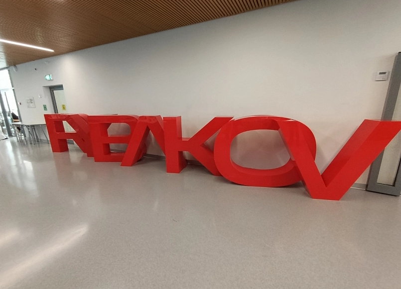 Кошкин Владислав 2