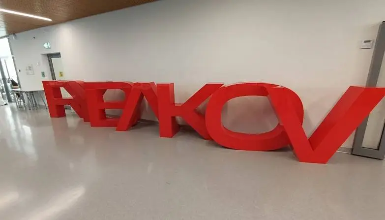 Кошкин Владислав 2