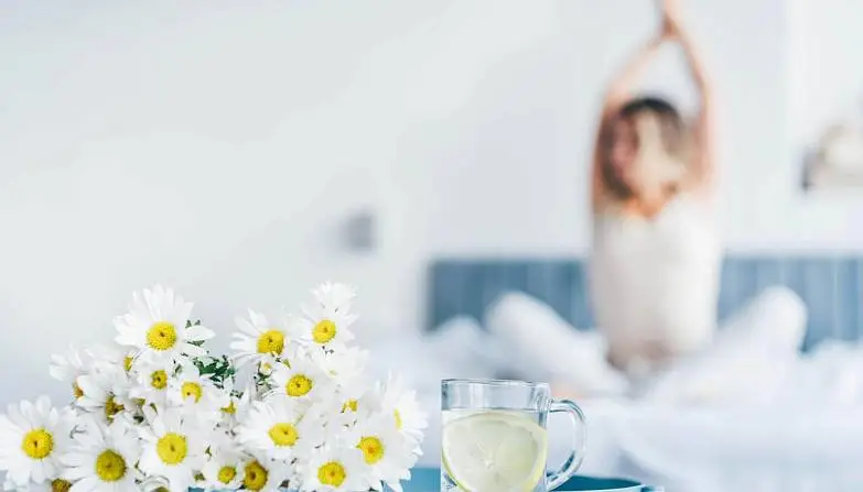 Капустина Елена 